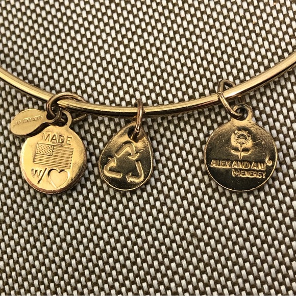 Alex and Ani Light Siam Birthstone Charm Gold Tone Bangle With Swarovski Crystal - Picture 5 of 6